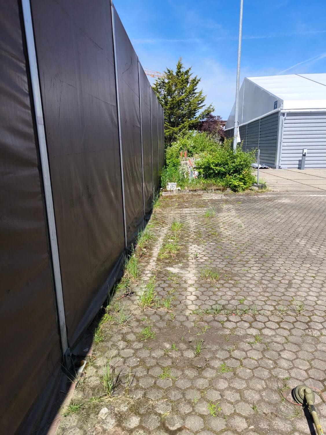 Pflasterfläche vor der Unkrautentfernung