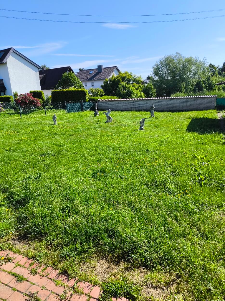 Rasenfläche vor dem Mähen